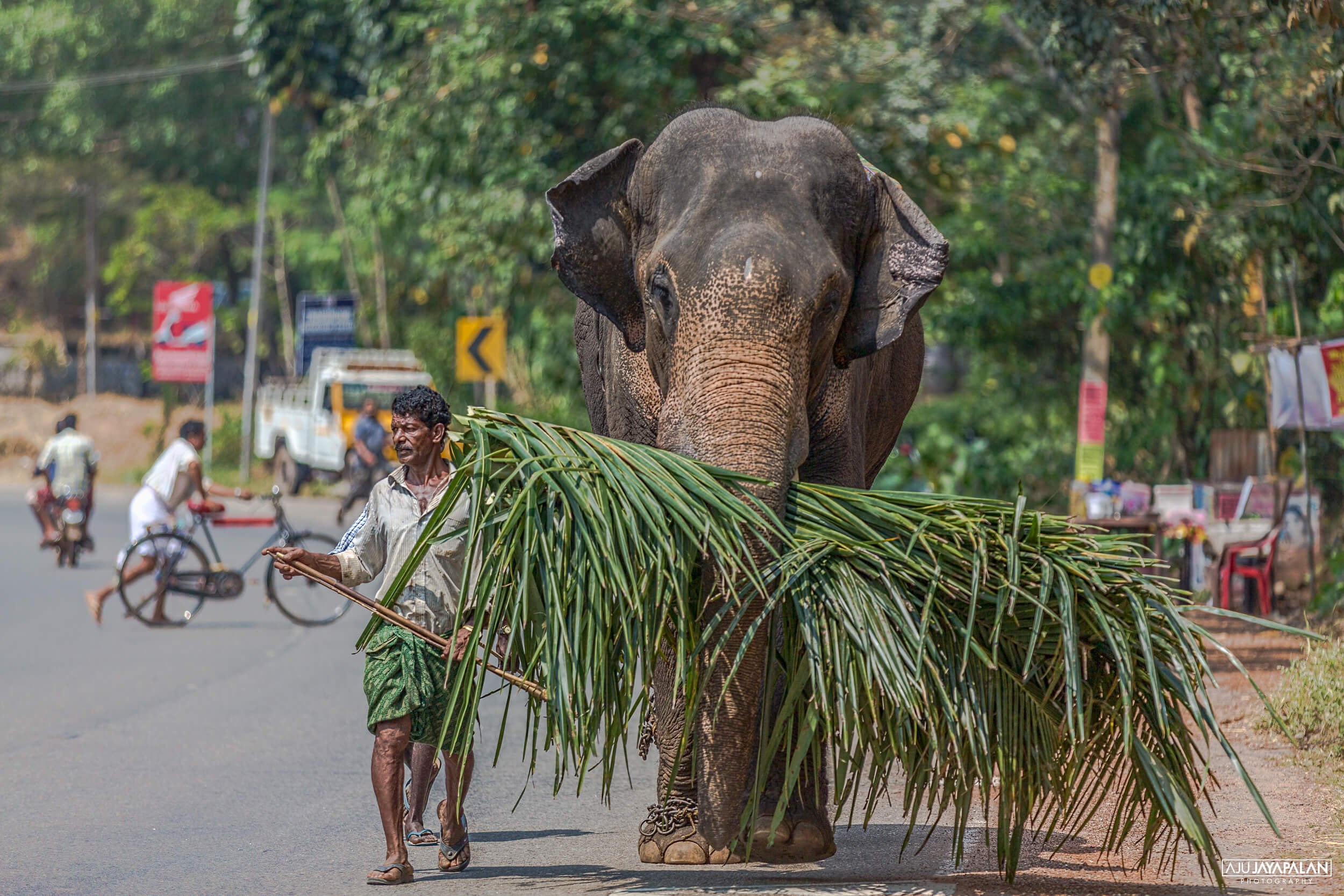 Photograph taken by Aju Jayapalan